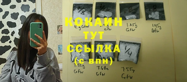 прущий лед Алзамай