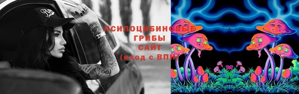 прущий лед Алзамай