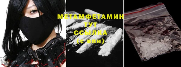 мет Алексин