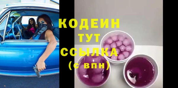 прущий лед Алзамай