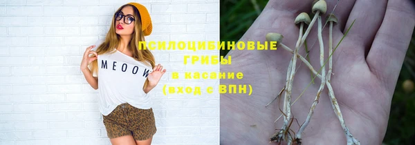 сатива Абаза