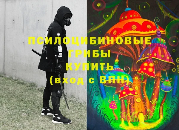 сатива Абаза