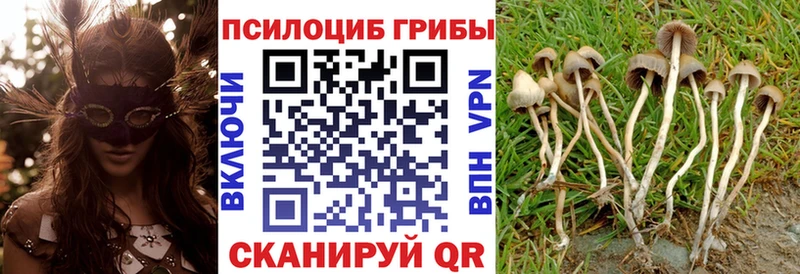Псилоцибиновые грибы MAGIC MUSHROOMS  Красновишерск 